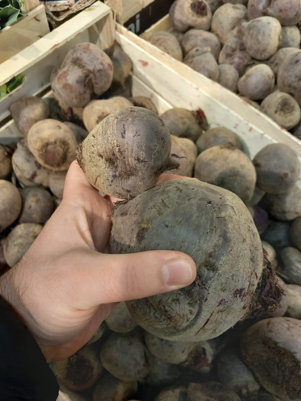 ANPC a controlat magazinele Selgros din toată țara